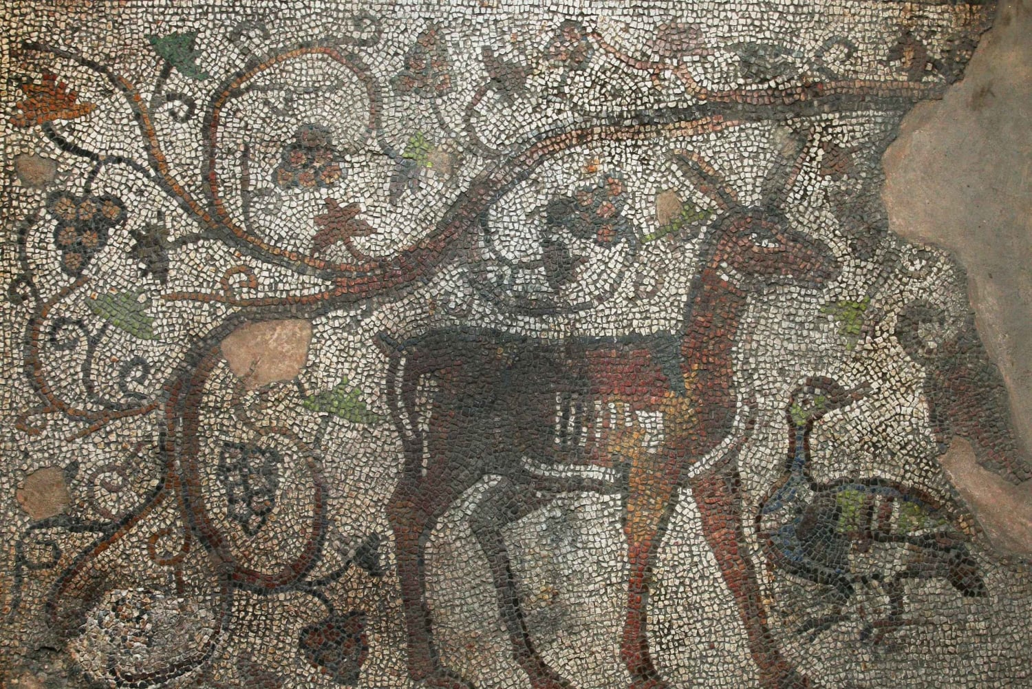 Sofia: Augusta Trayana - Neoliittisesta ajasta nykyaikaan Tour