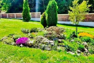 Vanuit Sofia: tour naar de koninklijke baden, het klooster en de paden van Bankya