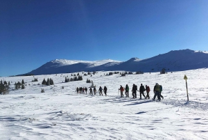 Sofia: Black Peak-Vitosha Mountain Snowshoeing Day Trip