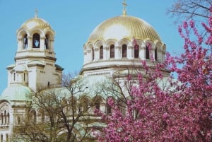 Sofia: City Highlights Sightseeing Walking Tour