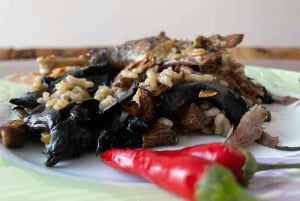 Sofia : Aventure culinaire au royaume des champignons et de la botanique