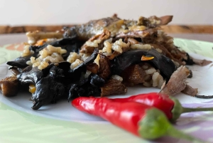 София: кулинарное приключение в царстве грибов и ботаники