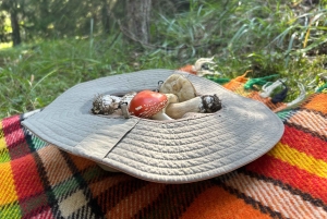 София: кулинарное приключение в царстве грибов и ботаники