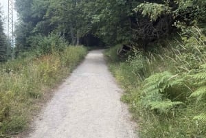 Trail Running Adventure