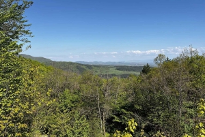 Trail Running Adventure