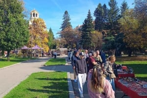 Sofia: Flea and Food Markets Tour