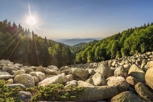 Sofia dall'alto e la Cattedrale Alexander Nevski