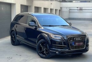 Sofia dall'alto e la Cattedrale Alexander Nevski