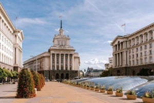 Sofia Full-Day Guided Tour from Bucharest by Minivan