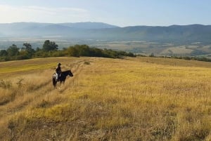 Ucieczka z Sofii: przejażdżka konna po pięknej Bułgarii
