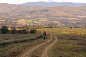 Ucieczka z Sofii: przejażdżka konna po pięknej Bułgarii
