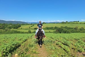 Ucieczka z Sofii: przejażdżka konna po pięknej Bułgarii