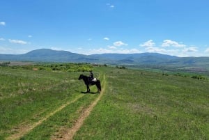Ucieczka z Sofii: przejażdżka konna po pięknej Bułgarii