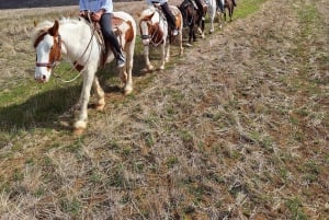 Ucieczka z Sofii: przejażdżka konna po pięknej Bułgarii