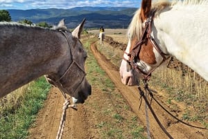 Ucieczka z Sofii: przejażdżka konna po pięknej Bułgarii
