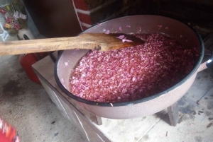 Sofia - Kazanluk Rozenvallei & Olie Distilleerderij Tour