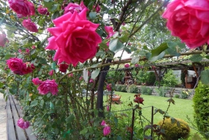 Sofia - Kazanluk Rozenvallei & Olie Distilleerderij Tour