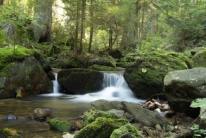 Sofia: Lovech, Devetaki Cave and Krushuna Waterfalls Tour