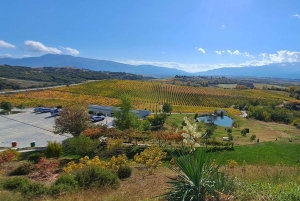 Sofia: Melnik and Rozhen Monastery Day Trip & Wine tasting