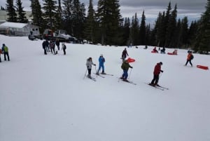 Sofia Mt. Vitosha: Skifahren lernen in einem Tag