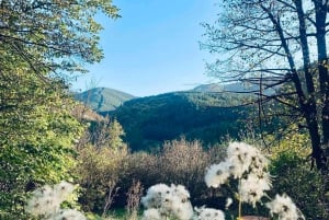 Sofia: Pernik Day Trip with Krakra Fortress & Mining Museum