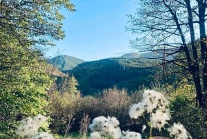 Sofia: Pernik Day Trip with Krakra Fortress & Mining Museum