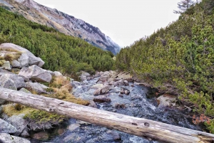 Sofia: Pirin National Park Hike & Bansko Visit with Lunch