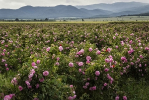 Sofia, Plovdiv, and The Rose Valley in 2 Days