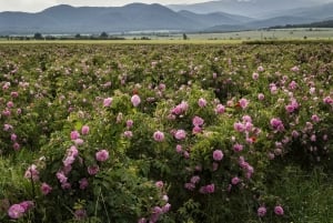 Sofia, Plovdiv und das Rosental in 2 Tagen
