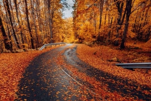 ソフィア：リラ修道院、ボヤナ教会、僧侶の部屋をご覧ください