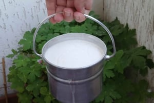 Sofia: Maista bulgarialaista jogurttia Kiselo Mlyako perhekodissa