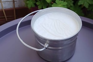 Sofia: Maista bulgarialaista jogurttia Kiselo Mlyako perhekodissa