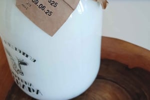 Sofia: Maista bulgarialaista jogurttia Kiselo Mlyako perhekodissa