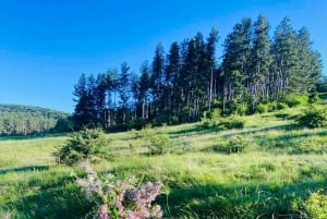 Sófia: a beleza do campo com um almoço caseiro