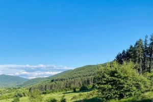 Sófia: a beleza do campo com um almoço caseiro
