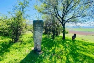 Sófia: a beleza do campo com um almoço caseiro
