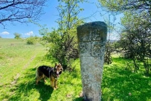 Sófia: a beleza do campo com um almoço caseiro