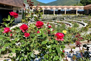 Sofia: Die Highlights Bulgariens - Rosental und Buzludzha