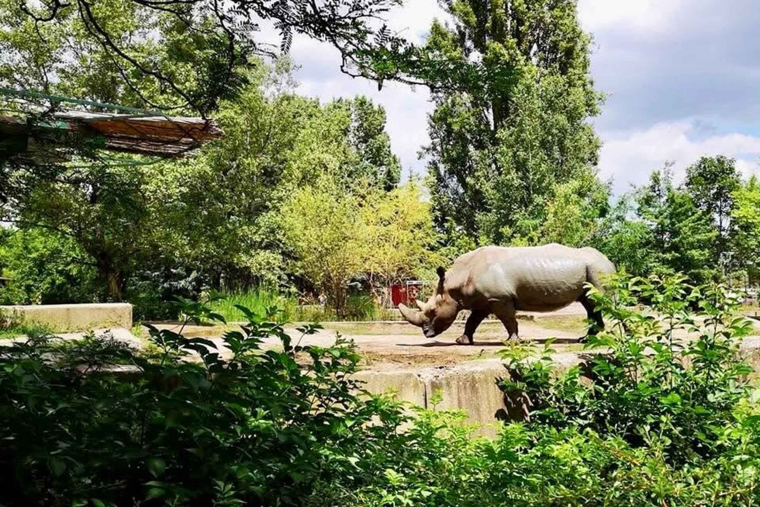 Sofia: Entrébillet til zoologisk have med afhentning på hotellet og frokost