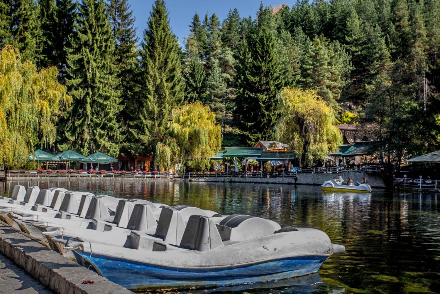 Tour spa e cultura: Velingrad e regione di Plovdiv (9 giorni)