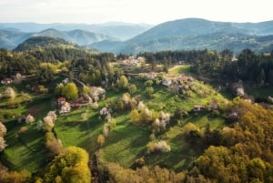 Tour spa e cultura: Velingrad e regione di Plovdiv (9 giorni)