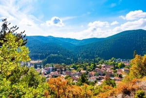 Tour spa e cultura: Velingrad e regione di Plovdiv (9 giorni)