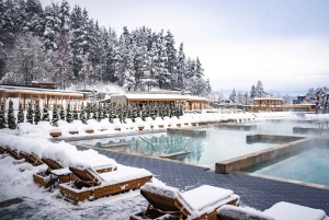 Kylpyläpäivälippu Pulse Therme Banyaan