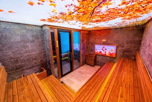 Kylpyläpäivälippu Pulse Therme Banyaan