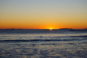 Sunny Beach: Sunset Catamaran Cruise with Dinner & Champagne