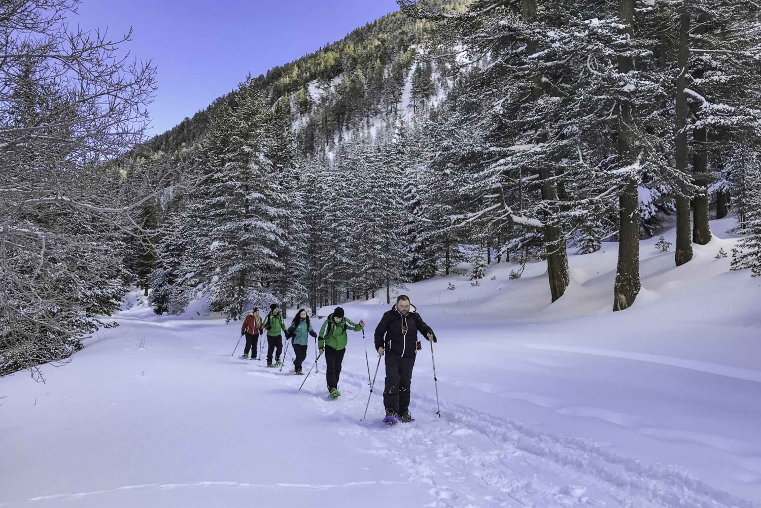 The Best of Bansko: Magical Snowshoeing Adventure & SPA