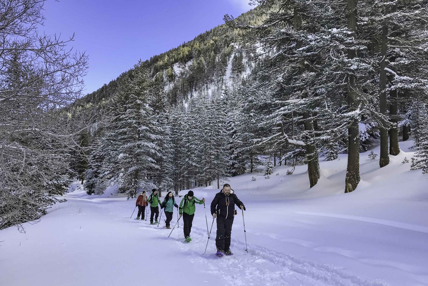 Het beste van Bansko: Magisch Sneeuwschoen Avontuur & SPA