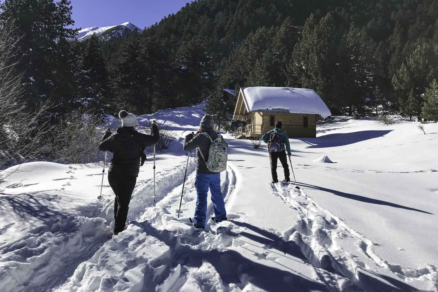 Het beste van Bansko: Magisch Sneeuwschoen Avontuur & SPA