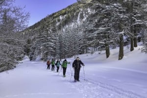 Banskon parhaat puolet: Bansko: Magical Snowshoeing Adventure & SPA