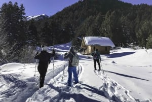 O melhor de Bansko: Aventura mágica com raquetes de neve e SPA